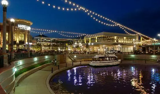 The Woodlands Web Design Company