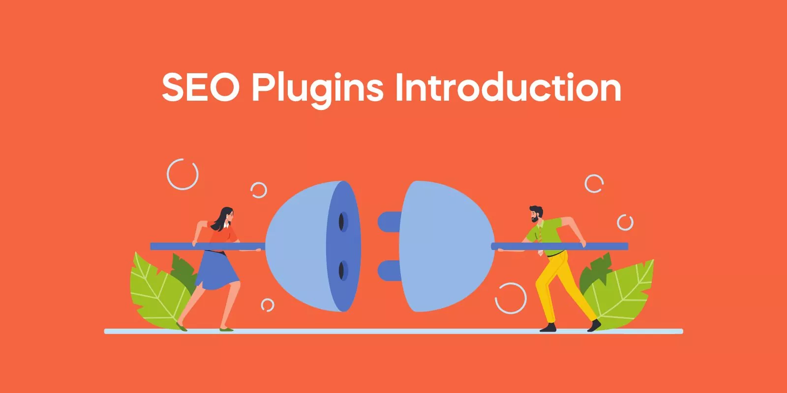 SEO Plugins Introduction