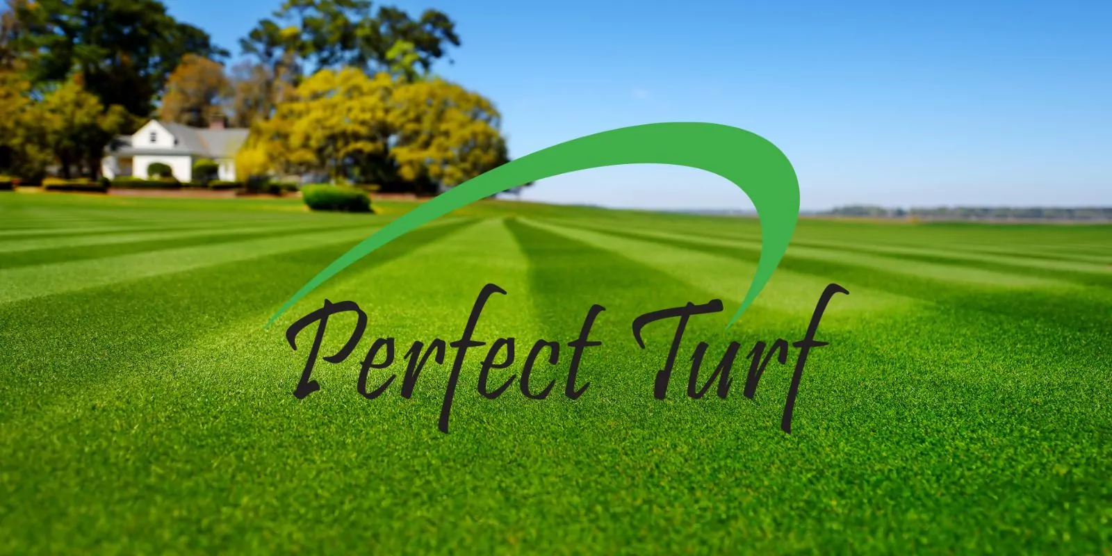 Perfect Turf Solutions
