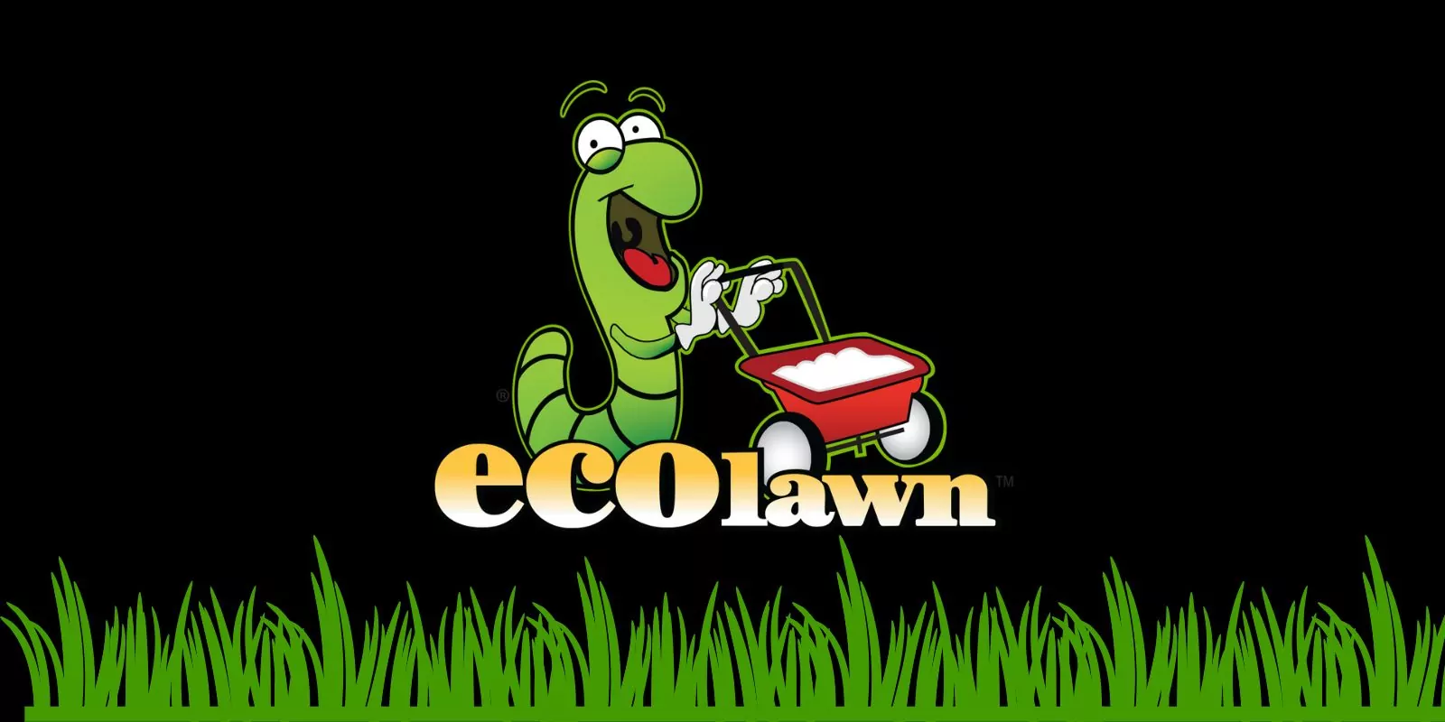 EcoLawn Solutions