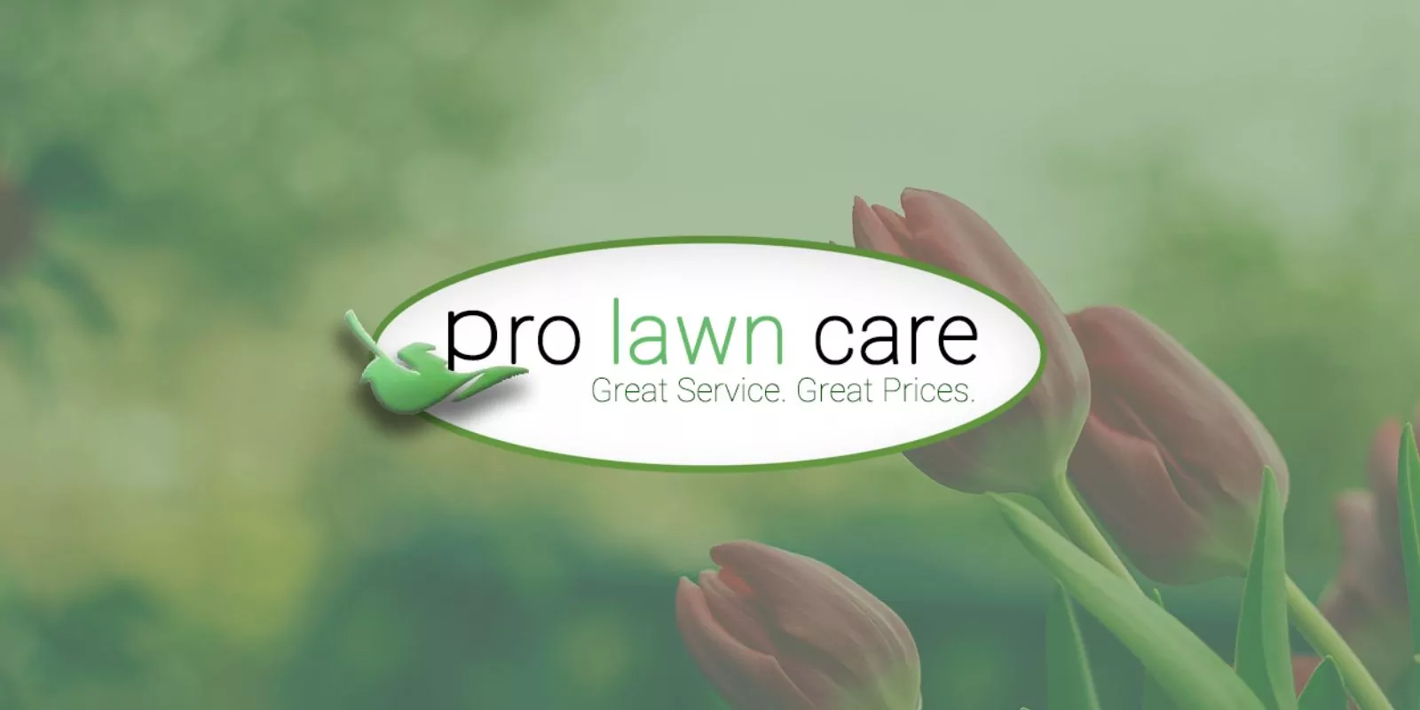 pro-lawn-care